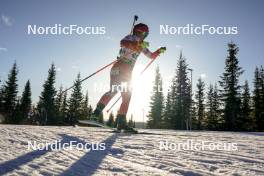 16.11.2024, Sjusjoen, Norway (NOR): Anna Maka (POL) - Biathlon Season Opening, sprint, Sjusjoen (NOR). www.nordicfocus.com. © Nordnes/NordicFocus. Every downloaded picture is fee-liable.