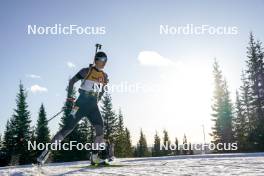 16.11.2024, Sjusjoen, Norway (NOR): Kirsten Daae Wiig (NOR) - Biathlon Season Opening, sprint, Sjusjoen (NOR). www.nordicfocus.com. © Nordnes/NordicFocus. Every downloaded picture is fee-liable.