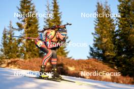 16.11.2024, Sjusjoen, Norway (NOR): Martin Nevland (NOR) - Biathlon Season Opening, sprint, Sjusjoen (NOR). www.nordicfocus.com. © Nordnes/NordicFocus. Every downloaded picture is fee-liable.