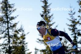 16.11.2024, Sjusjoen, Norway (NOR): Kasper Aagheim Kalkenberg (NOR) - Biathlon Season Opening, sprint, Sjusjoen (NOR). www.nordicfocus.com. © Nordnes/NordicFocus. Every downloaded picture is fee-liable.