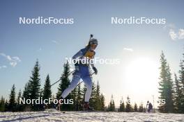 16.11.2024, Sjusjoen, Norway (NOR): Olivia Opheim (NOR) - Biathlon Season Opening, sprint, Sjusjoen (NOR). www.nordicfocus.com. © Nordnes/NordicFocus. Every downloaded picture is fee-liable.