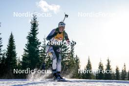 16.11.2024, Sjusjoen, Norway (NOR): Maria Bolin Krane (NOR) - Biathlon Season Opening, sprint, Sjusjoen (NOR). www.nordicfocus.com. © Nordnes/NordicFocus. Every downloaded picture is fee-liable.