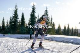 16.11.2024, Sjusjoen, Norway (NOR): Lisa Sorlien (NOR) - Biathlon Season Opening, sprint, Sjusjoen (NOR). www.nordicfocus.com. © Nordnes/NordicFocus. Every downloaded picture is fee-liable.