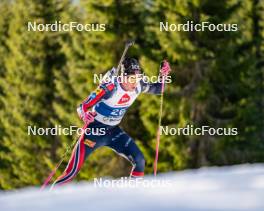 15.11.2024, Sjusjoen, Norway (NOR): Martin Uldal (NOR) - Biathlon Season Opening, training, Sjusjoen (NOR). www.nordicfocus.com. © Nordnes/NordicFocus. Every downloaded picture is fee-liable.