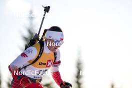 16.11.2024, Sjusjoen, Norway (NOR): Kamila Chichon (POL) - Biathlon Season Opening, sprint, Sjusjoen (NOR). www.nordicfocus.com. © Nordnes/NordicFocus. Every downloaded picture is fee-liable.