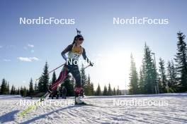 16.11.2024, Sjusjoen, Norway (NOR): Emilie Aagheim Kalkenberg (NOR) - Biathlon Season Opening, sprint, Sjusjoen (NOR). www.nordicfocus.com. © Nordnes/NordicFocus. Every downloaded picture is fee-liable.