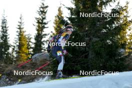 16.11.2024, Sjusjoen, Norway (NOR): Aksel Emil Aasbo (NOR) - Biathlon Season Opening, sprint, Sjusjoen (NOR). www.nordicfocus.com. © Nordnes/NordicFocus. Every downloaded picture is fee-liable.