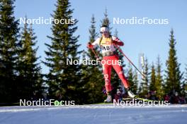 16.11.2024, Sjusjoen, Norway (NOR): Kamila Chichon (POL) - Biathlon Season Opening, sprint, Sjusjoen (NOR). www.nordicfocus.com. © Nordnes/NordicFocus. Every downloaded picture is fee-liable.