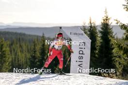 16.11.2024, Sjusjoen, Norway (NOR): Anna Maka (POL) - Biathlon Season Opening, sprint, Sjusjoen (NOR). www.nordicfocus.com. © Nordnes/NordicFocus. Every downloaded picture is fee-liable.