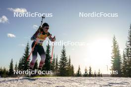 16.11.2024, Sjusjoen, Norway (NOR): Malin Auganaes Bergtun (NOR) - Biathlon Season Opening, sprint, Sjusjoen (NOR). www.nordicfocus.com. © Nordnes/NordicFocus. Every downloaded picture is fee-liable.