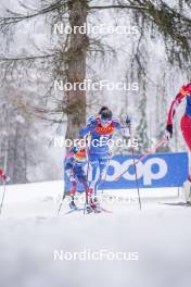 06.01.2024, Val di Fiemme, Italy (ITA): Krista Parmakoski (FIN) - FIS world cup cross-country, tour de ski, mass, Val di Fiemme (ITA). www.nordicfocus.com. © Barbieri/NordicFocus. Every downloaded picture is fee-liable.