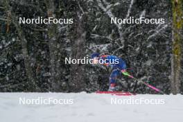 06.01.2024, Val di Fiemme, Italy (ITA): Anna Comarella (ITA) - FIS world cup cross-country, tour de ski, mass, Val di Fiemme (ITA). www.nordicfocus.com. © Barbieri/NordicFocus. Every downloaded picture is fee-liable.