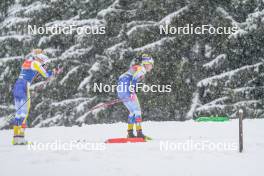 06.01.2024, Val di Fiemme, Italy (ITA): Frida Karlsson (SWE), Linn Svahn (SWE), (l-r)  - FIS world cup cross-country, tour de ski, mass, Val di Fiemme (ITA). www.nordicfocus.com. © Barbieri/NordicFocus. Every downloaded picture is fee-liable.