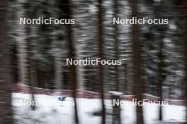 19.01.2024, Oberhof, Germany (GER): Anne Kyllonen (FIN) - FIS world cup cross-country, individual sprint, Oberhof (GER). www.nordicfocus.com. © Modica/NordicFocus. Every downloaded picture is fee-liable.