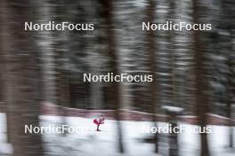 19.01.2024, Oberhof, Germany (GER): Ansgar Evensen (NOR) - FIS world cup cross-country, individual sprint, Oberhof (GER). www.nordicfocus.com. © Modica/NordicFocus. Every downloaded picture is fee-liable.