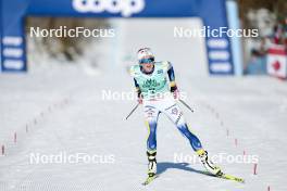 09.02.2024, Canmore, Canada (CAN): Frida Karlsson (SWE) - FIS world cup cross-country, 15km mass, Canmore (CAN). www.nordicfocus.com. © Modica/NordicFocus. Every downloaded picture is fee-liable.