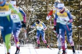 11.02.2024, Canmore, Canada (CAN): Lauren Jortberg (USA) - FIS world cup cross-country, mass, Canmore (CAN). www.nordicfocus.com. © Modica/NordicFocus. Every downloaded picture is fee-liable.