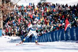 17.02.2024, Minneapolis, United States of America (USA): Johanna Hagstroem (SWE) - FIS world cup cross-country, individual sprint, Minneapolis (USA). www.nordicfocus.com. © Modica/NordicFocus. Every downloaded picture is fee-liable.