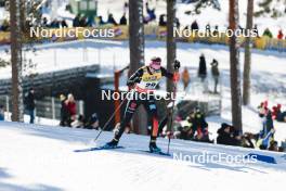 17.03.2024, Falun, Sweden (SWE): Laura Gimmler (GER) - FIS world cup cross-country, mass, Falun (SWE). www.nordicfocus.com. © Modica/NordicFocus. Every downloaded picture is fee-liable.