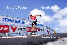 02.08.2024, Sandnes, Norway (NOR): Mathias Holbaek (NOR) - BLINK24 Festival Cross-Country - Sandnes (NOR). www.nordicfocus.com. © Nordnes/NordicFocus. Every downloaded picture is fee-liable.