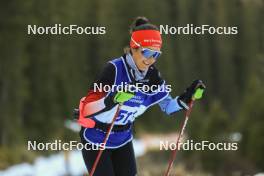 06.11.2024, Davos, Switzerland (SUI): Giuliana Werro (SUI) - Cross-Country training, snowfarming track, Davos (SUI). www.nordicfocus.com. © Manzoni/NordicFocus. Every downloaded picture is fee-liable.