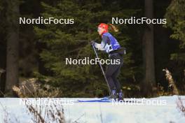 06.11.2024, Davos, Switzerland (SUI): Nadine Faehndrich (SUI) - Cross-Country training, snowfarming track, Davos (SUI). www.nordicfocus.com. © Manzoni/NordicFocus. Every downloaded picture is fee-liable.