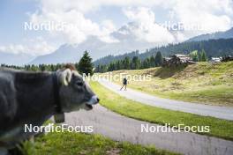 09.07.2024, Lavaze, Italy (ITA): Cyril Faehndrich (SUI) - Cross-Country summer training, Lavaze (ITA). www.nordicfocus.com. © Vanzetta/NordicFocus. Every downloaded picture is fee-liable.