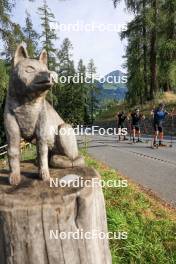 07.08.2024, Lenzerheide, Switzerland (SUI): Valerio Grond (SUI), Nicola Wigger (SUI), Beda Klee (SUI), (l-r) - Cross-Country summer training, Lenzerheide (SUI). www.nordicfocus.com. © Manzoni/NordicFocus. Every downloaded picture is fee-liable.