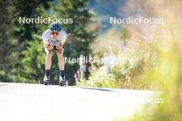 08.08.2024, Lavaze, Italy (ITA): Lucas Boegl (GER) - Cross-Country summer training, Lavaze (ITA). www.nordicfocus.com. © Vanzetta/NordicFocus. Every downloaded picture is fee-liable.