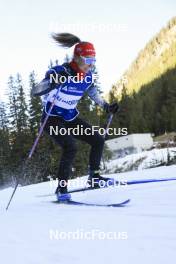 06.11.2024, Davos, Switzerland (SUI): Nadine Faehndrich (SUI) - Cross-Country training, snowfarming track, Davos (SUI). www.nordicfocus.com. © Manzoni/NordicFocus. Every downloaded picture is fee-liable.