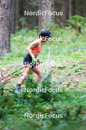 15.08.2024, Ulrichen, Switzerland (SUI): Katharina Hennig (GER) - Cross-Country summer training, Ulrichen (SUI). www.nordicfocus.com. © Manzoni/NordicFocus. Every downloaded picture is fee-liable.