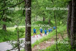 19.06.2024, Tignes, France (FRA): Jules Chappaz (FRA), Renaud Jay (FRA), Hugo Lapalus (FRA), Mathis Desloges (FRA), (l-r) - Cross-Country summer training, Tignes (FRA). www.nordicfocus.com. © Authamayou/NordicFocus. Every downloaded picture is fee-liable.