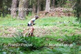 15.08.2024, Ulrichen, Switzerland (SUI): Victoria Carl (GER) - Cross-Country summer training, Ulrichen (SUI). www.nordicfocus.com. © Manzoni/NordicFocus. Every downloaded picture is fee-liable.