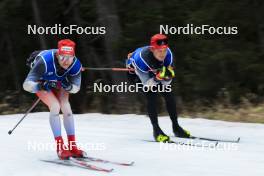 06.11.2024, Davos, Switzerland (SUI): Nicola Wigger (SUI) - Cross-Country training, snowfarming track, Davos (SUI). www.nordicfocus.com. © Manzoni/NordicFocus. Every downloaded picture is fee-liable.