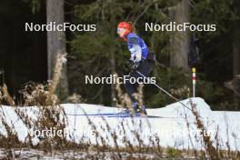 06.11.2024, Davos, Switzerland (SUI): Nadine Faehndrich (SUI) - Cross-Country training, snowfarming track, Davos (SUI). www.nordicfocus.com. © Manzoni/NordicFocus. Every downloaded picture is fee-liable.