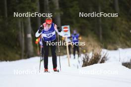 06.11.2024, Davos, Switzerland (SUI): Ilaria Gruber (SUI) - Cross-Country training, snowfarming track, Davos (SUI). www.nordicfocus.com. © Manzoni/NordicFocus. Every downloaded picture is fee-liable.