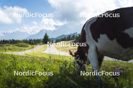 09.07.2024, Lavaze, Italy (ITA): Cyril Faehndrich (SUI) - Cross-Country summer training, Lavaze (ITA). www.nordicfocus.com. © Vanzetta/NordicFocus. Every downloaded picture is fee-liable.