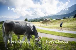 09.07.2024, Lavaze, Italy (ITA): Cyril Faehndrich (SUI) - Cross-Country summer training, Lavaze (ITA). www.nordicfocus.com. © Vanzetta/NordicFocus. Every downloaded picture is fee-liable.