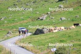 07.08.2024, Lenzerheide, Switzerland (SUI): Valerio Grond (SUI), Beda Klee (SUI), Nicola Wigger (SUI), (l-r) - Cross-Country summer training, Lenzerheide (SUI). www.nordicfocus.com. © Manzoni/NordicFocus. Every downloaded picture is fee-liable.