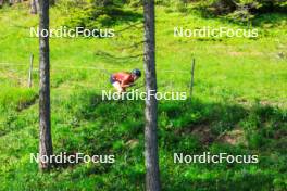 04.06.2024, Lenzerheide, Switzerland (SUI): Giuliana Werro (SUI) - Cross-Country training, Lenzerheide (SUI). www.nordicfocus.com. © Manzoni/NordicFocus. Every downloaded picture is fee-liable.