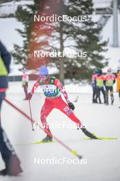 10.02.2024, Otepaeae, Estonia (EST): Martin Fritz (AUT) - FIS world cup nordic combined men, individual gundersen HS97/10km, Otepaeae (EST). www.nordicfocus.com. © Authamayou/NordicFocus. Every downloaded picture is fee-liable.