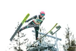 12.10.2024, Oberhof, Germany (GER): David Mach (GER) - German Championships Nordic Combined men and women, individual gundersen HS140/10km men, Oberhof (GER). www.nordicfocus.com. © Volk/NordicFocus. Every downloaded picture is fee-liable.