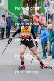 12.10.2024, Oberhof, Germany (GER): Lilly Grossmann (GER) - German Championships Nordic Combined men and women, individual gundersen HS100/5km women, Oberhof (GER). www.nordicfocus.com. © Volk/NordicFocus. Every downloaded picture is fee-liable.