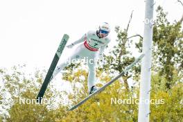 28.09.2024, Hinzenbach, Austria (AUT): Timi Zajc (SLO) - Summer Grand Prix ski jumping, individual HS90, Hinzenbach (AUT). www.nordicfocus.com. © Volk/NordicFocus. Every downloaded picture is fee-liable