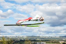 29.09.2024, Hinzenbach, Austria (AUT): Jan Hoerl (AUT) - Summer Grand Prix ski jumping, individual HS90, Hinzenbach (AUT). www.nordicfocus.com. © Volk/NordicFocus. Every downloaded picture is fee-liable