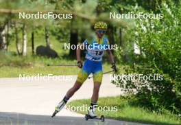 17.07.2024, Madona, Latvia (LAT): Yevheniia Murach (UKR) - FIS Rollerski World Cup, interval, Madona (LAT). www.nordicfocus.com. © Koksarovs/NordicFocus. Every downloaded picture is fee-liable.