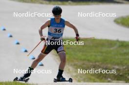 17.07.2024, Madona, Latvia (LAT): Rosa Zimare (GER) - FIS Rollerski World Cup, interval, Madona (LAT). www.nordicfocus.com. © Koksarovs/NordicFocus. Every downloaded picture is fee-liable.