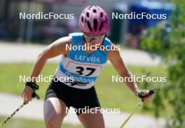 17.07.2024, Madona, Latvia (LAT): Anastasiia Nekrasova (UKR) - FIS Rollerski World Cup, interval, Madona (LAT). www.nordicfocus.com. © Koksarovs/NordicFocus. Every downloaded picture is fee-liable.