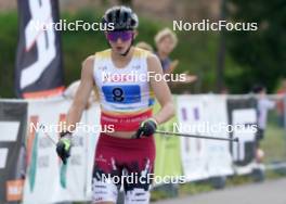 18.07.2024, Madona, Latvia (LAT): Jekabs Skolnieks (LAT) - FIS Rollerski World Cup, team sprint, Madona (LAT). www.nordicfocus.com. © Koksarovs/NordicFocus. Every downloaded picture is fee-liable.