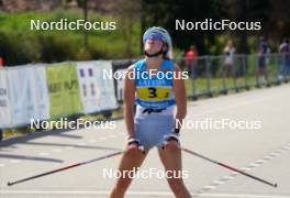 18.07.2024, Madona, Latvia (LAT): Teiloora Ojaste (EST) - FIS Rollerski World Cup, team sprint, Madona (LAT). www.nordicfocus.com. © Koksarovs/NordicFocus. Every downloaded picture is fee-liable.